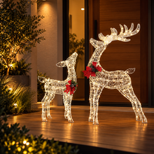 2 Piece Light-Up Reindeer Set with 170 Warm White LEDs