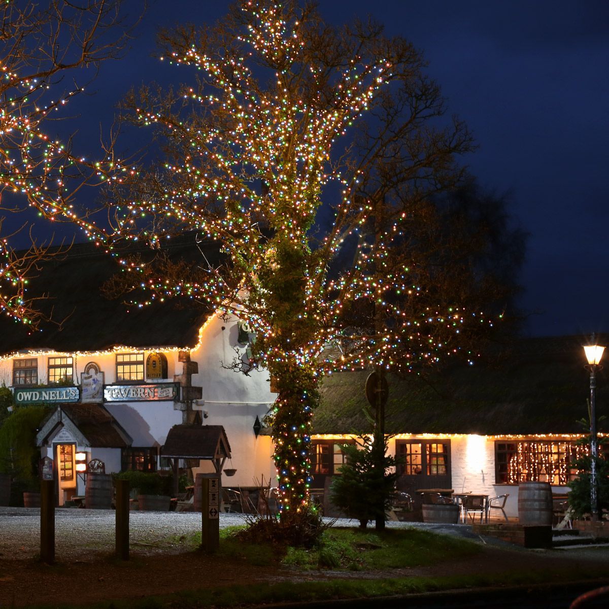 60M Multicolour String Christmas Lights – 1200 LEDs