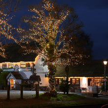 60M Multicolour String Christmas Lights – 1200 LEDs