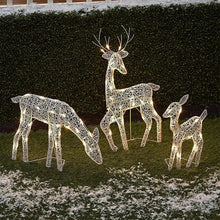 LED Reindeer Family Christmas Decoration – 3 Piece Acrylic Set