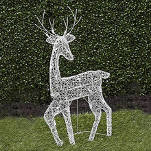 LED Reindeer Family Christmas Decoration – 3 Piece Acrylic Set