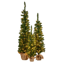 Set of 3 Pre-Lit Christmas Trees 5FT, 4FT & 3FT with Warm White LEDs