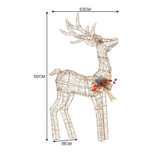 50CM Reindeer Motif Light – Warm White LEDs 170 Lights