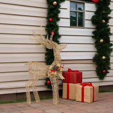 50CM Reindeer Motif Light – Warm White LEDs 170 Lights