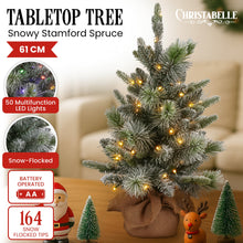 61CM Pre-Lit Snowy Stamford Spruce Tabletop Christmas Tree with 50 LEDs