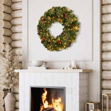 61CM Bristle Berry Christmas Wreath with 60 LED Lights