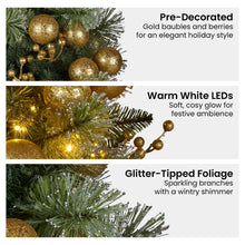 61CM Christmas Wreath with 50 LED Lights & Gold Baubles