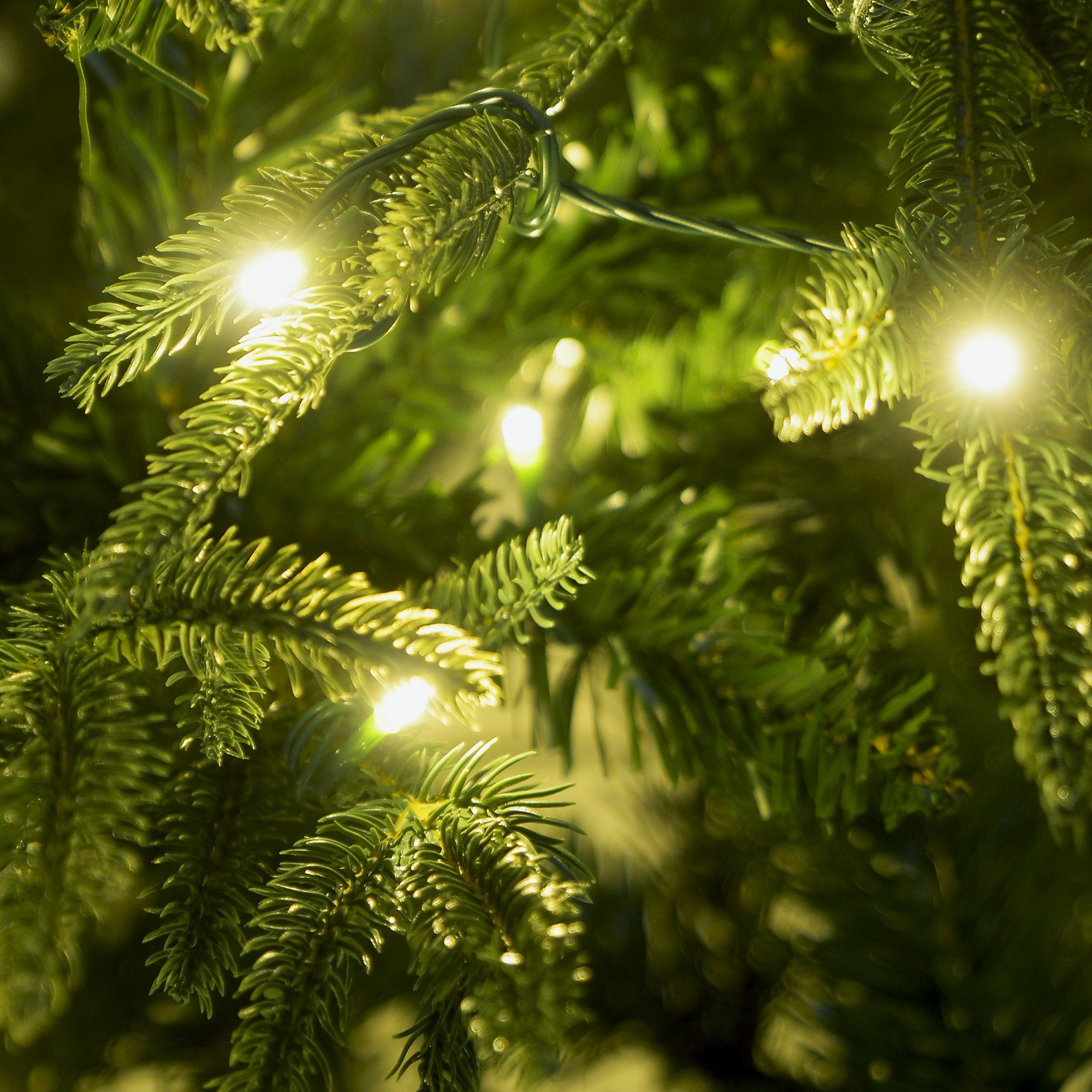 4FT Pre-Lit Everglow Fir Christmas Tree with 150 LED Lights
