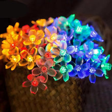 6M Cherry Blossom Christmas Lights – 40 LED Warm White