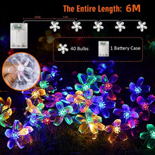 6M Cherry Blossom Christmas Lights – 40 LED Warm White