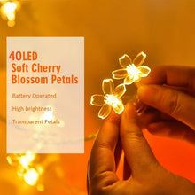 6M Cherry Blossom Christmas Lights – 40 LED Warm White