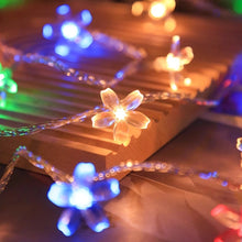 6M Cherry Blossom Christmas Lights – 40 LED Warm White