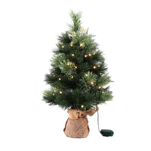 60CM Tabletop Christmas Tree with 50 LED Lights