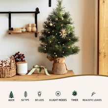 60CM Tabletop Christmas Tree with 50 LED Lights