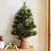 60CM Tabletop Christmas Tree with 50 LED Lights