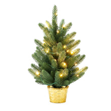 45CM Pre-Lit Tabletop Christmas Tree with 20 LED lights