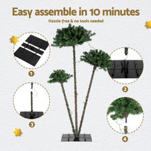 Pre-Lit Christmas Palm Tree Set with 930 Warm White LEDs