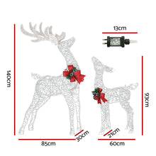 2 Piece Light-Up Reindeer Set with 170 Warm White LEDs