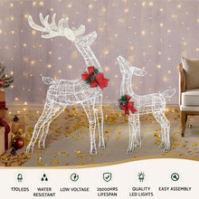 2 Piece Light-Up Reindeer Set with 170 Warm White LEDs