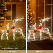 2 Piece Light-Up Reindeer Set with 170 Warm White LEDs