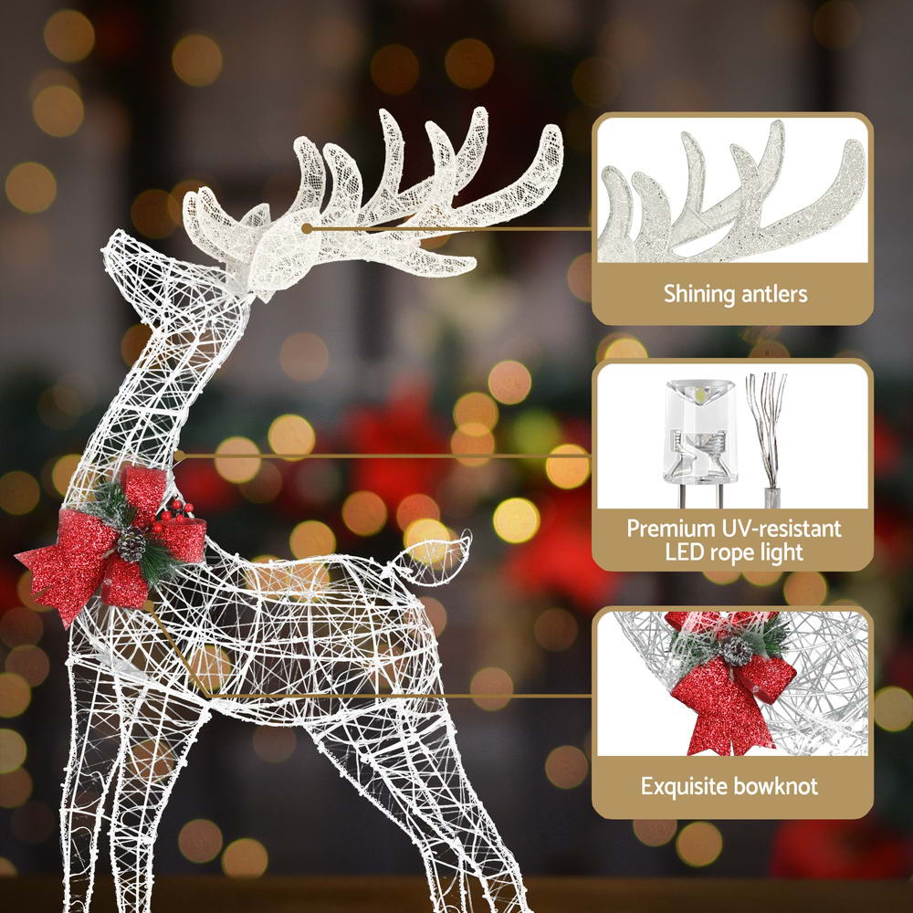 2 Piece Light-Up Reindeer Set with 170 Warm White LEDs