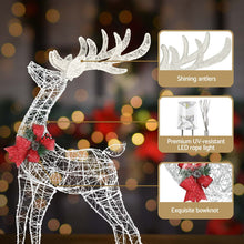 2 Piece Light-Up Reindeer Set with 170 Warm White LEDs