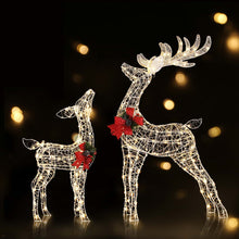 2 Piece Light-Up Reindeer Set with 170 Warm White LEDs