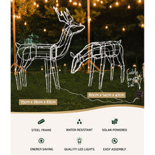 83CM Reindeer Motif Light Set – Cold White LEDs 200 Lights