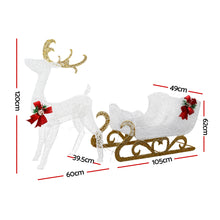 Light-Up Reindeer & Sleigh Set with 215 Warm White LEDs