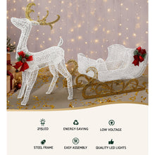 Light-Up Reindeer & Sleigh Set with 215 Warm White LEDs