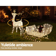Light-Up Reindeer & Sleigh Set with 215 Warm White LEDs