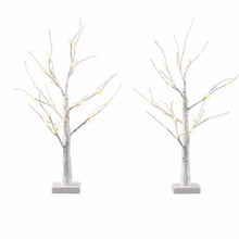 60CM Light-Up Branch Trees 2 Pack with 48 Warm White LED Lights