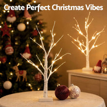 60CM Light-Up Branch Trees 2 Pack with 48 Warm White LED Lights