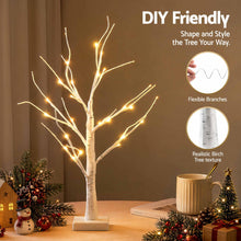 60CM Light-Up Branch Trees 2 Pack with 48 Warm White LED Lights