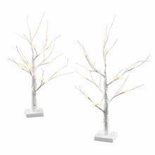 60CM Light-Up Branch Trees 2 Pack with 48 Warm White LED Lights