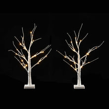 60CM Light-Up Branch Trees 2 Pack with 48 Warm White LED Lights