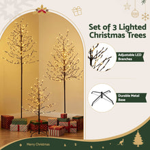LED Birch Christmas Tree Set - Warm White (3 Pack)