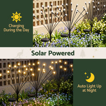 3 Pack Solar Firefly Path Lights with 30 Warm White LEDs