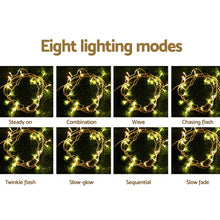 100M Christmas String Lights with 500 Warm White LEDs