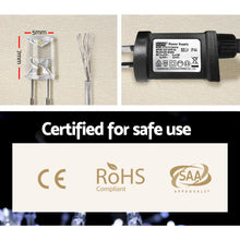 100M Christmas String Lights with 500 Cool White LEDs